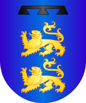 ESCUDO PRECEDENTE